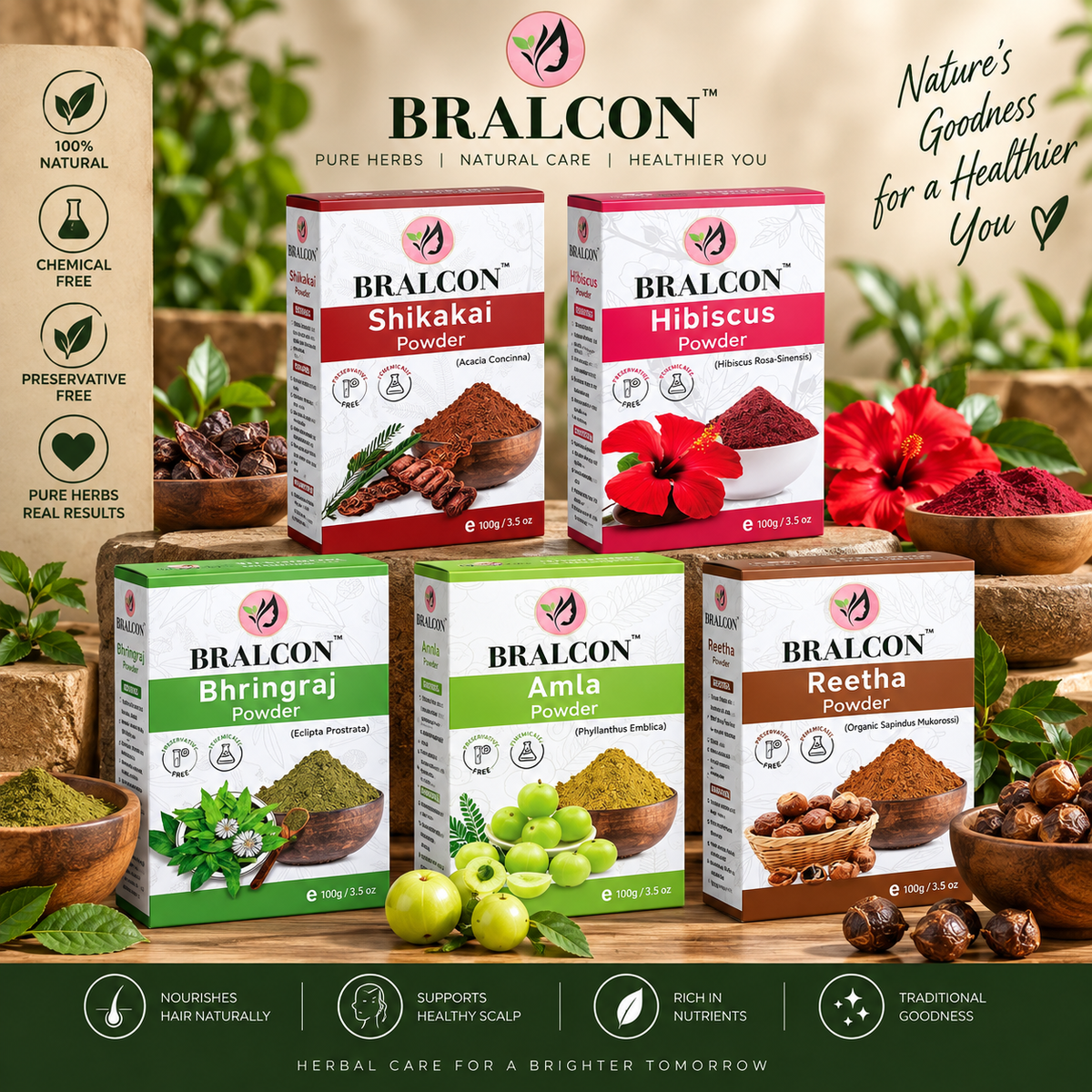 BRALCON Organic Amla, Reetha, Shikakai, Bhringraj, Hibiscus Powder Combo-500g (100g x 5 Pack)
