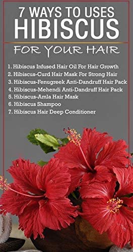 BRALCON Organic Raw Hibiscus -100g