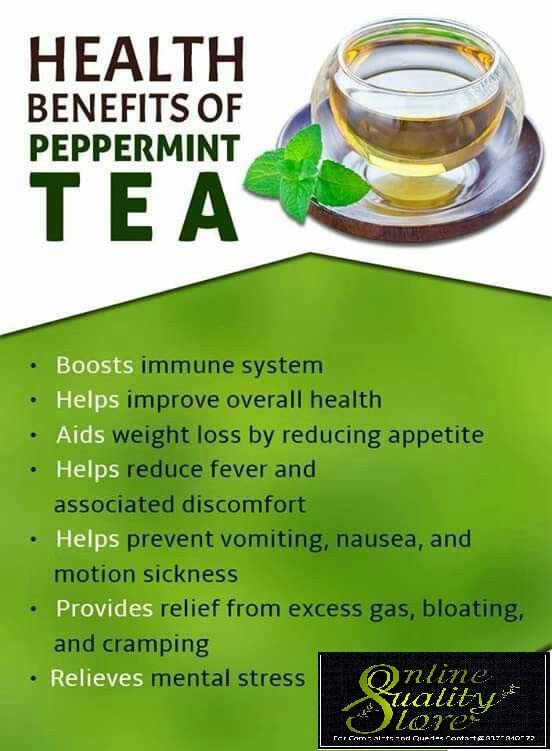Online Quality Store Organic Mint Herbal Tea-100g |Mint Tea| Spearmint Herbal Tea for Relieves stress