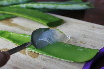 Online Quality Store Organic Aloe Vera Gel, 200g