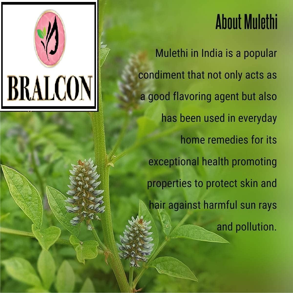 BRALCON Organic Mulethi Powder -100g