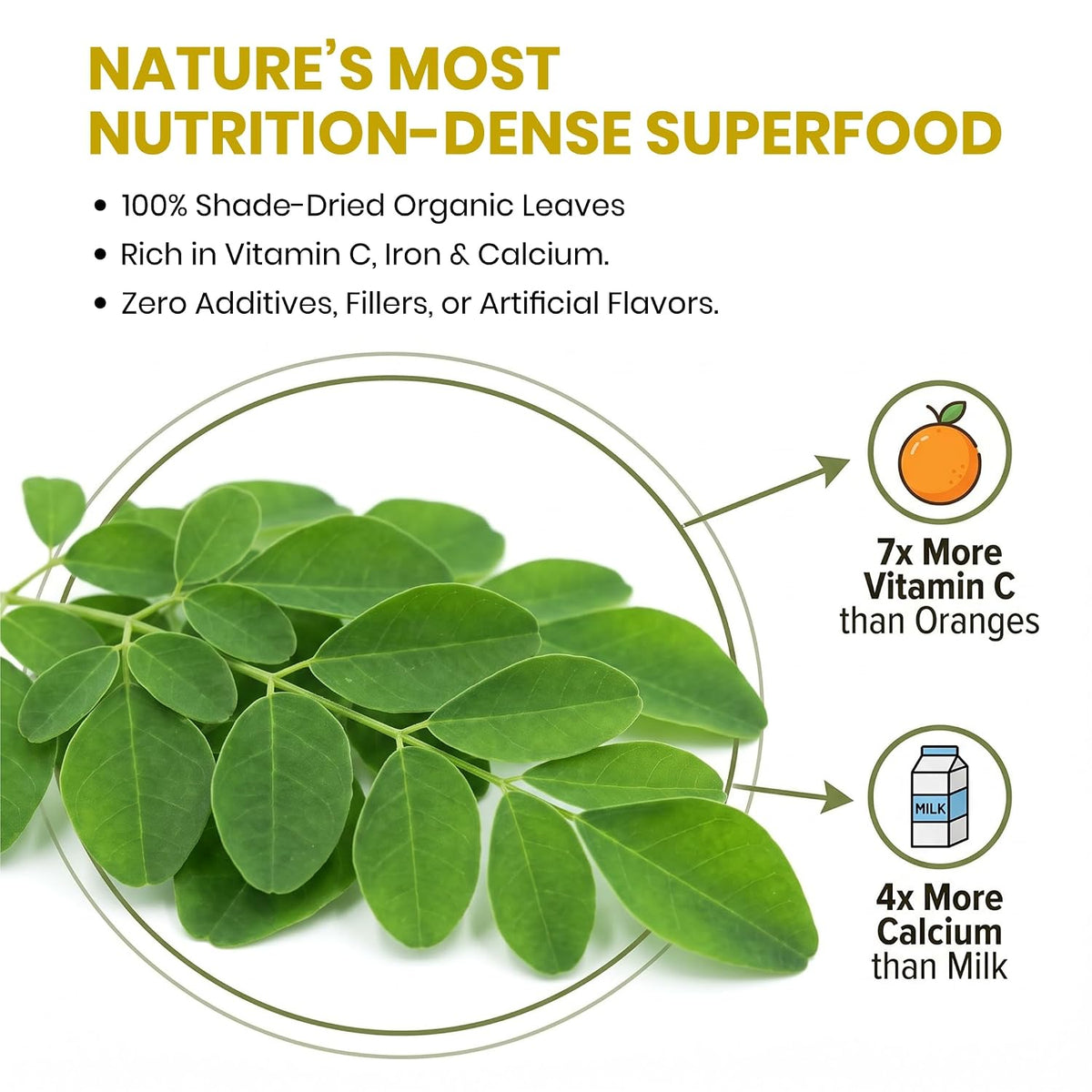 REORIC Moringa Herbal Tea 50g | Premium Dried Moringa Leaves Infusion | Smooth & Earthy Green Beverage | Daily Refreshment Drink