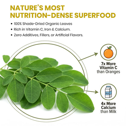 REORIC Moringa Herbal Tea 50g | Premium Dried Moringa Leaves Infusion | Smooth & Earthy Green Beverage | Daily Refreshment Drink