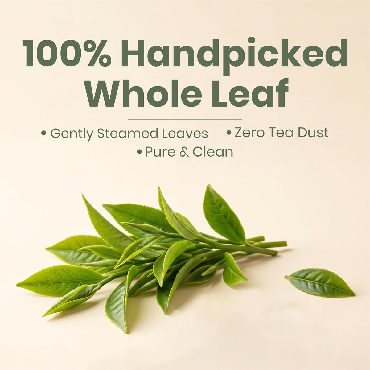 REORIC Green Tea 50g
