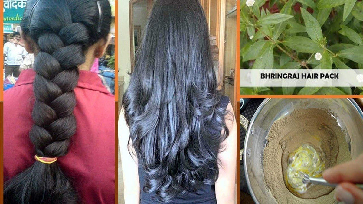 BRALCON Organic Raw Bhringraj -100g