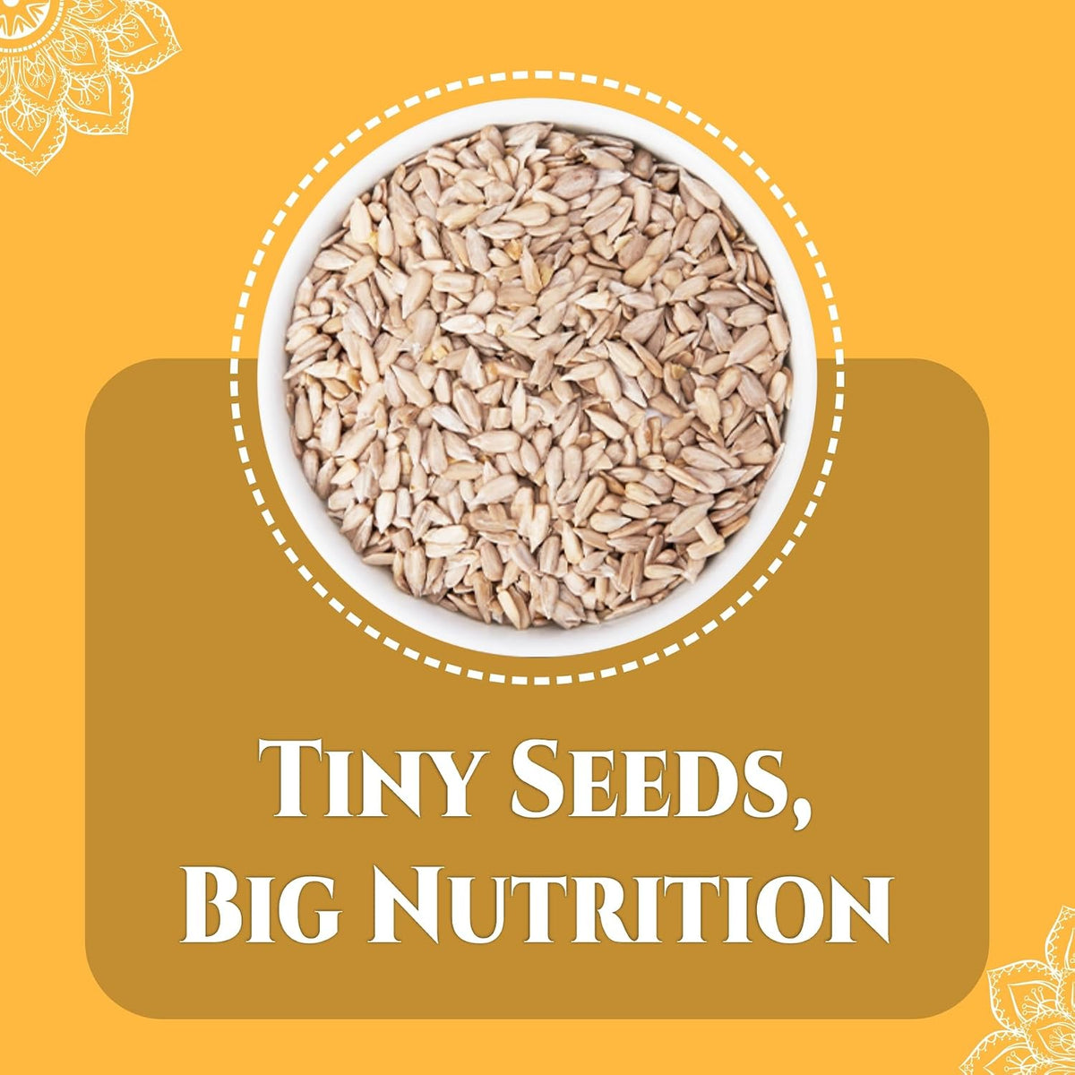 BRALCON Organic Seeds Combo (Sunflower Seeds- 100g, Pumpkin Seeds -100g)