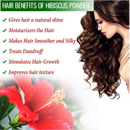 BRALCON Organic Raw Hibiscus -100g