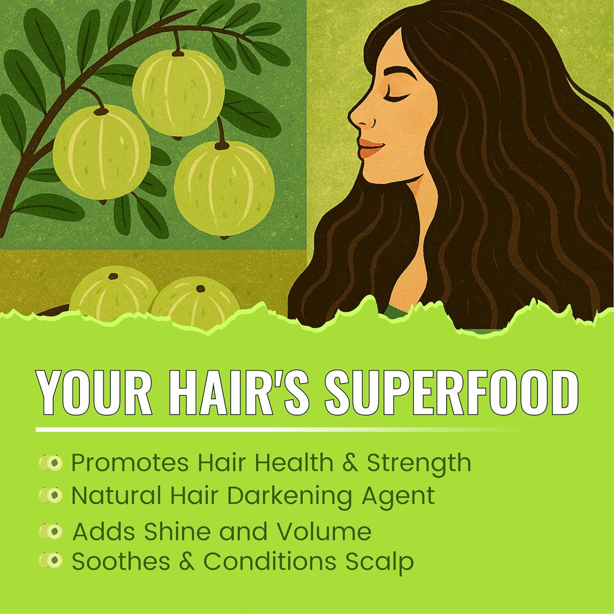 BRALCON Amla Powder 100g || 100% Natural Amla Indian Gooseberry Fruit Powder for Hair 100g Pack