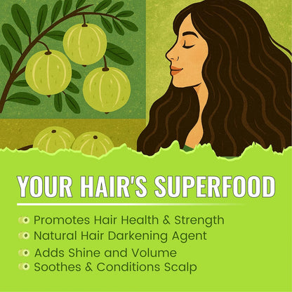 BRALCON Amla Powder 100g || 100% Natural Amla Indian Gooseberry Fruit Powder for Hair 100g Pack