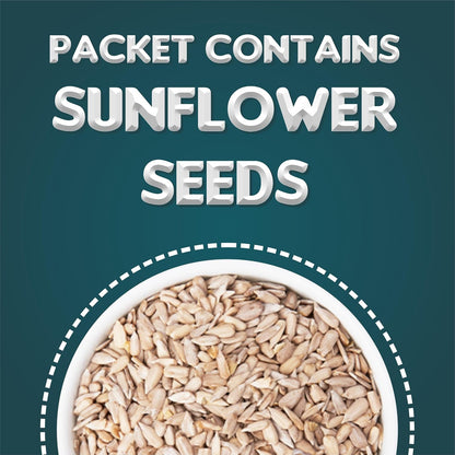Online Quality Store Mix Seeds - 400g | 6-In-1 Super Seeds Mix | Pumpkin, Sunflower, Watermelon, Flax, Strawberry and Chery Seeds - Mixed seeds for weight loss | Edible Seeds