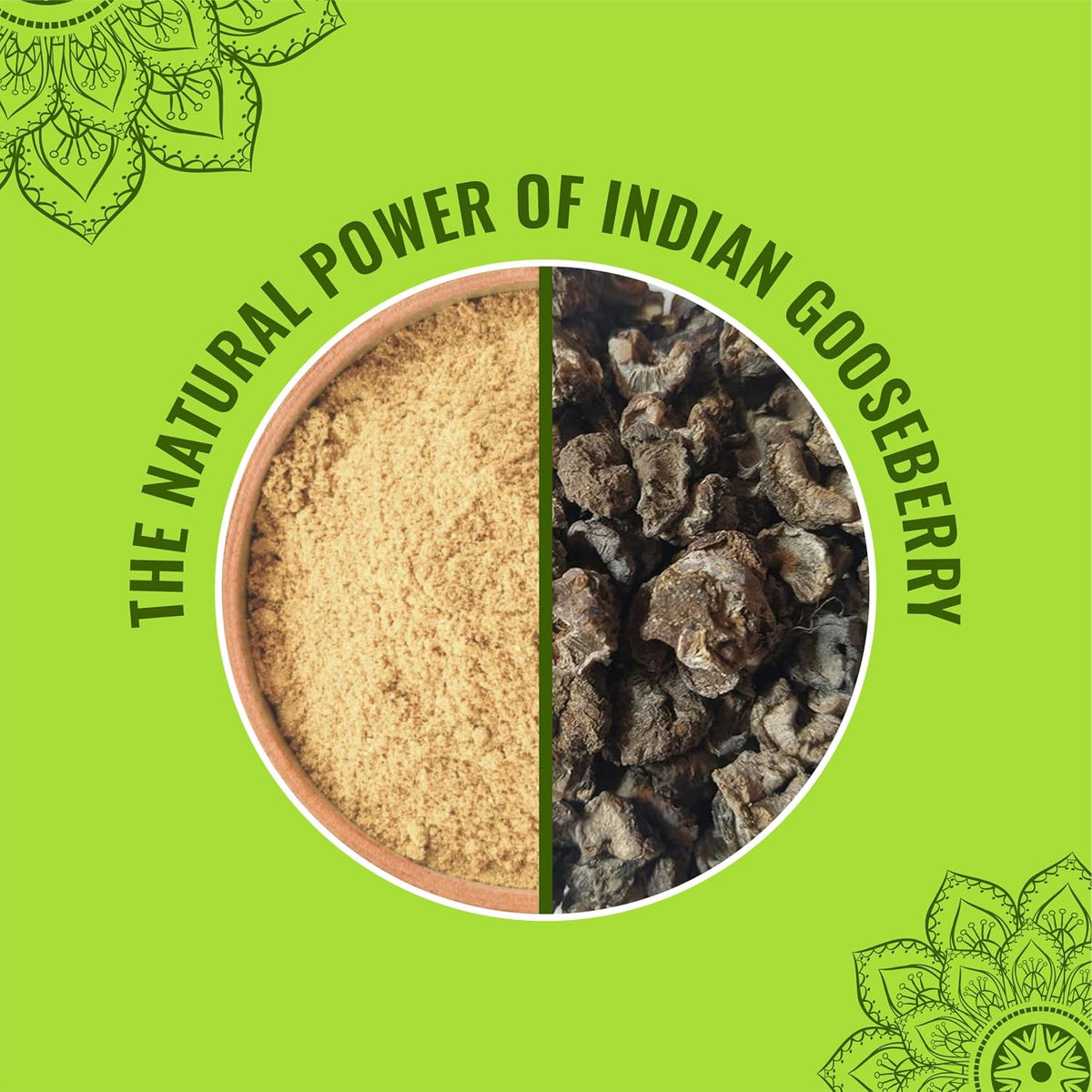 BRALCON Amla Powder 100g || 100% Natural Amla Indian Gooseberry Fruit Powder for Hair 100g Pack