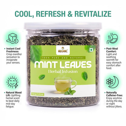 REORIC Mint Tea 50g | Refreshing Dried Mint Leaves Herbal Infusion | Cool Aromatic Loose Leaf Tea Blend | Daily Hot & Iced Beverage Brew