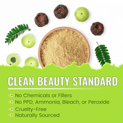 BRALCON Amla Powder 100g || 100% Natural Amla Indian Gooseberry Fruit Powder for Hair 100g Pack