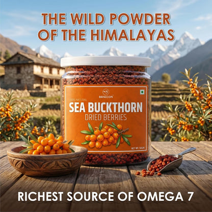 Sea Buckthorn Dried Berries