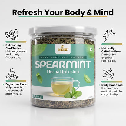 REORIC Spearmint Tea 50g | Dried Spearmint Leaves Herbal Infusion | Refreshing Loose Leaf Mint Brew | Daily Hot & Iced Beverage Drink