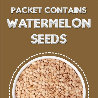 Online Quality Store Mix Seeds - 250g Jar | 6-In-1 Super Seeds Mix | Pumpkin, Sunflower, Watermelon, Flax, Strawberry and Chery Seeds - Mixed seeds for weight loss | Edible Seeds