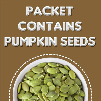 Online Quality Store Mix Seeds - 250g Jar | 6-In-1 Super Seeds Mix | Pumpkin, Sunflower, Watermelon, Flax, Strawberry and Chery Seeds - Mixed seeds for weight loss | Edible Seeds