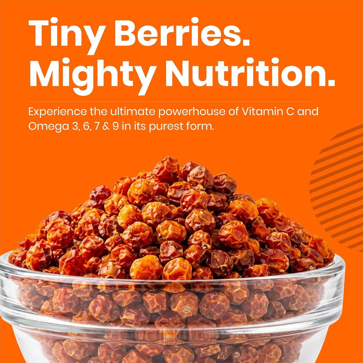 Reoric Pure Dried Sea Buckthorn Berries (100g)
