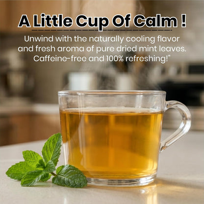BRALCON Dried Mint Leaves Herbal Tea - 30g