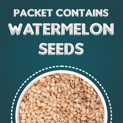 Online Quality Store Mix Seeds - 400g | 6-In-1 Super Seeds Mix | Pumpkin, Sunflower, Watermelon, Flax, Strawberry and Chery Seeds - Mixed seeds for weight loss | Edible Seeds