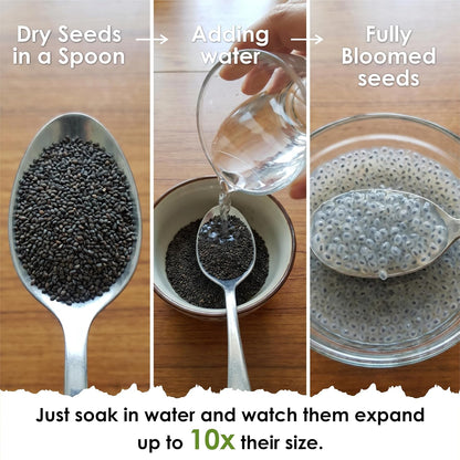 BRALCON Raw Sabja Seeds -900g