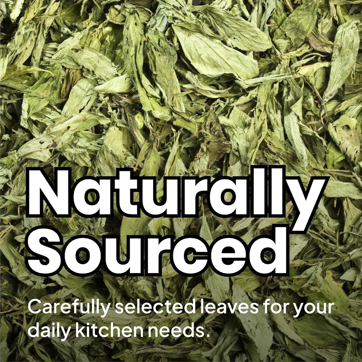 REORIC Dried Stevia Leaves Tea 30g