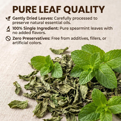 REORIC Spearmint Tea 50g | Dried Spearmint Leaves Herbal Infusion | Refreshing Loose Leaf Mint Brew | Daily Hot & Iced Beverage Drink