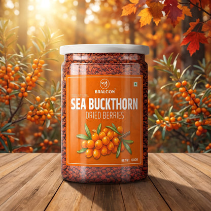 BRALCON Sea Buckthorn Dried Berries - 100g