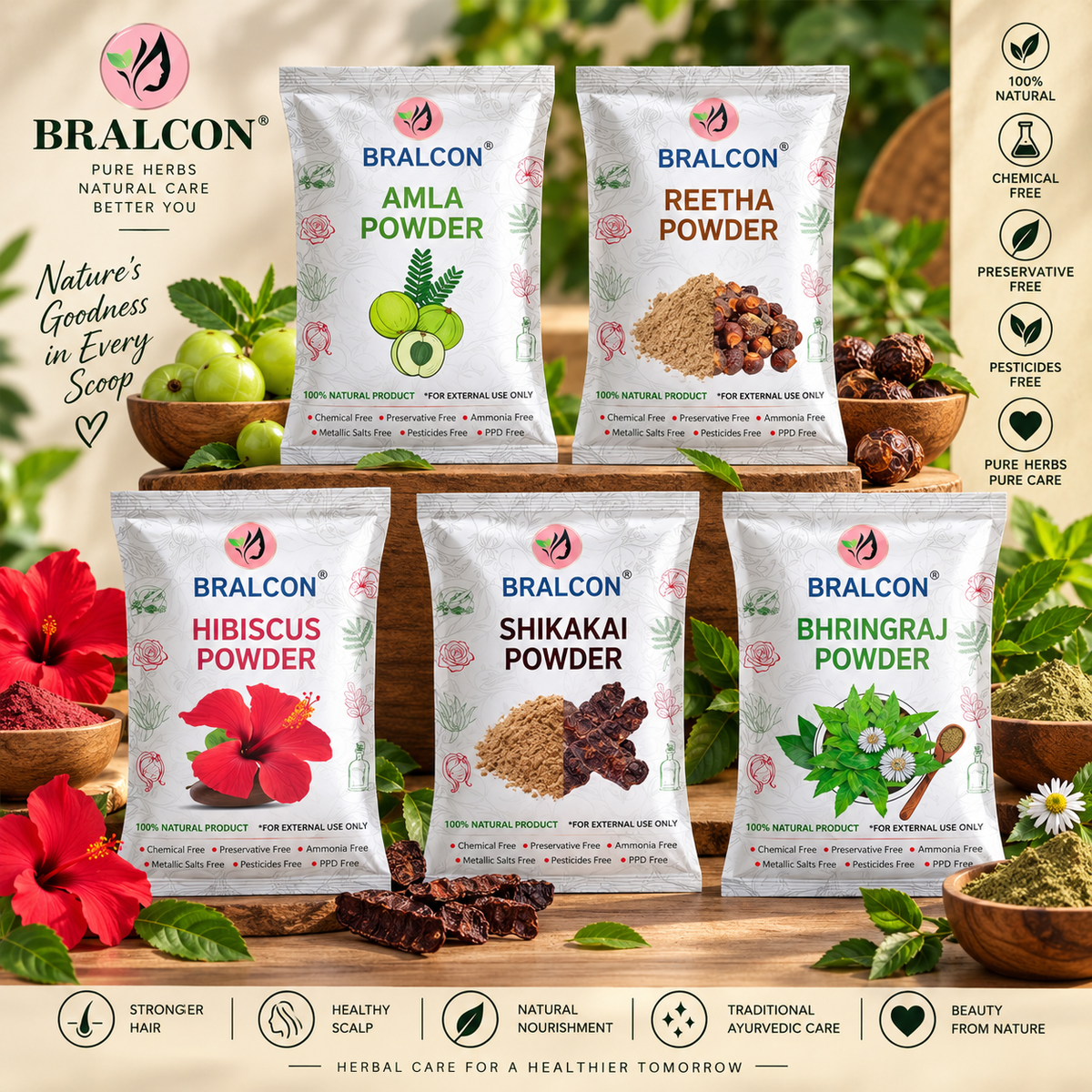 Amla, Reetha, Shikakai, Hibiscus, Bhringraj - 100g each (100 X 5 Pack) || Natural Herbal Powder Combo for Hairs || Chemical Free (Pack of 5, 100g each, Total 500 g Pack)